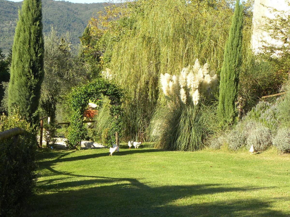 Country Resort Il Frassine Rignano sullʼArno Exteriör bild